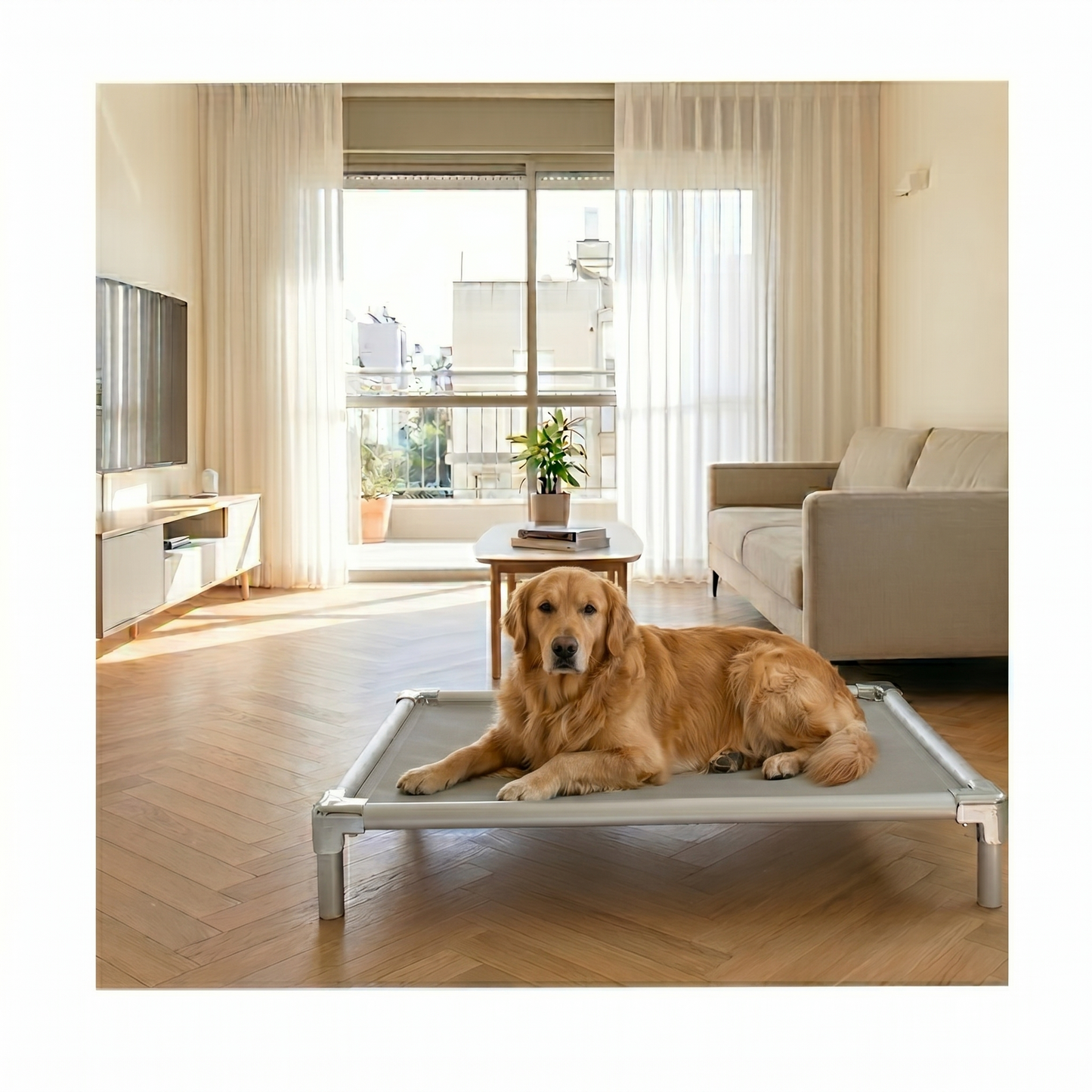 Chew-proof elevated dog bed