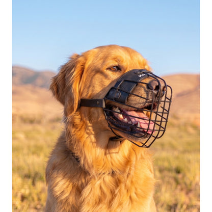 Minimalist lightweight Lite muzzle for Golden Retriever