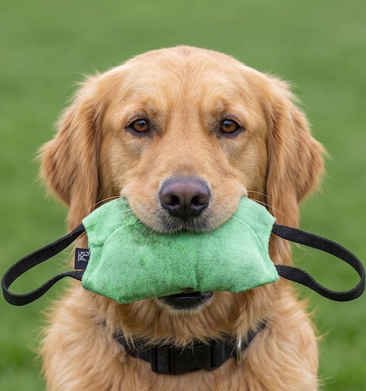 Soft bite pillow for Golden Retriever