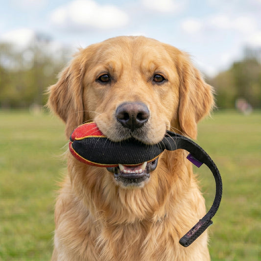 French linen watermelon tug for Golden Retriever