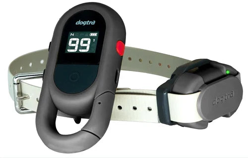 Dogtra iQ FLEX transmitter and receiver in grey