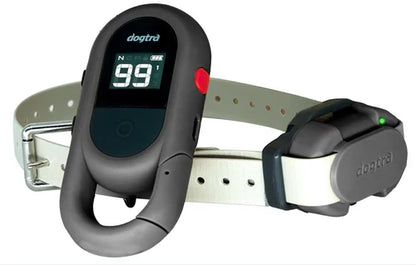 Dogtra iQ FLEX transmitter and receiver in grey