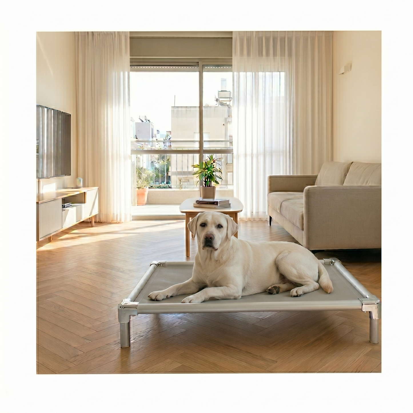 Chew-proof elevated dog bed