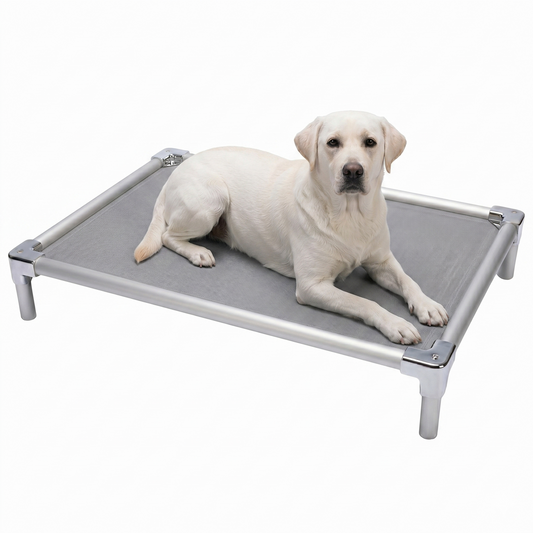 Orthopedic aluminum elevated bed for Labrador