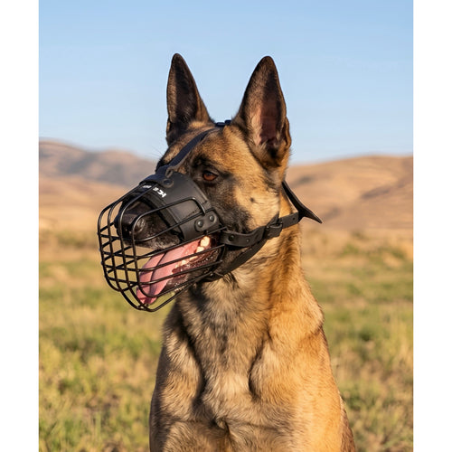 3D metal wire muzzle for Belgian Malinois