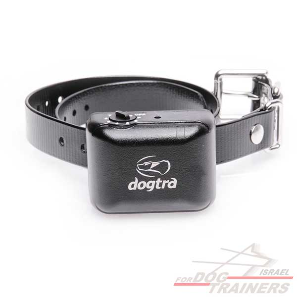 Dogtra YS300 adjustable bark collar for small and medium dogs
