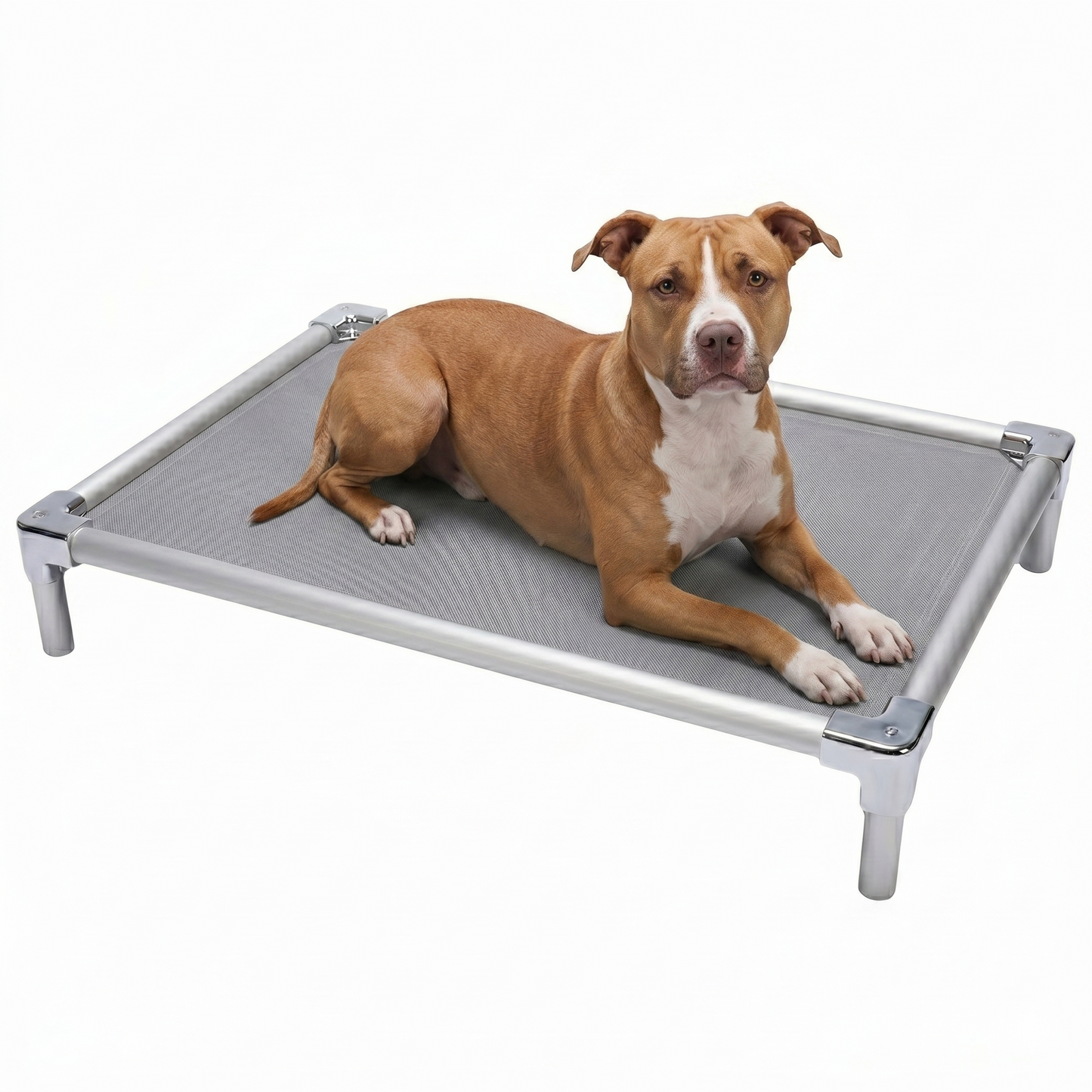Orthopedic aluminum elevated bed for Pit Bull