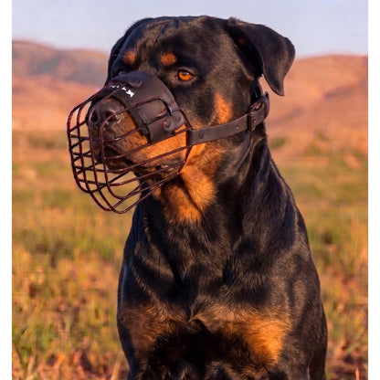 Minimalist lightweight muzzle for Rottweiler