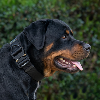 Coyote tan tactical nylon collar with metal buckle