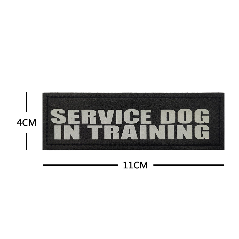 SERVICE DOG IN TRAINING patch 11 x 4 cm