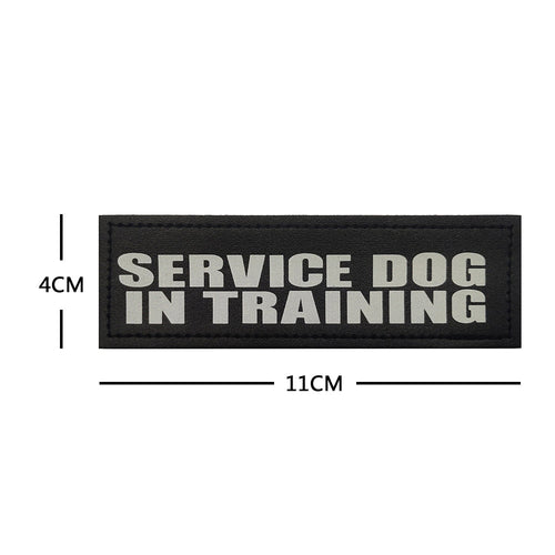 SERVICE DOG IN TRAINING patch 11 x 4 cm