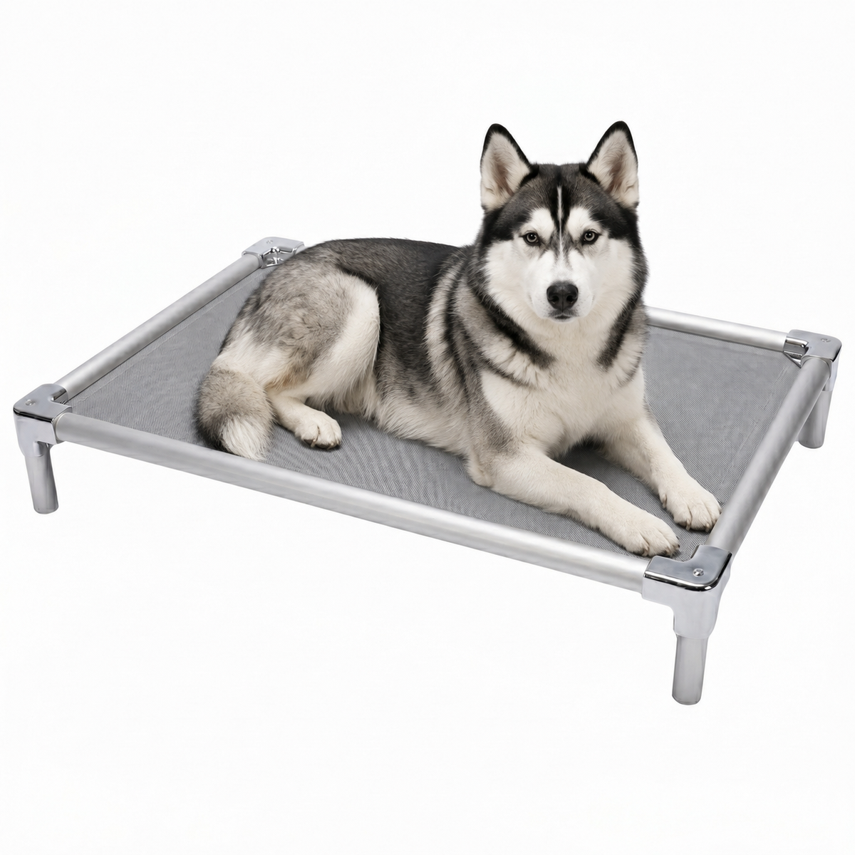 Elevated aluminum orthopedic bed for Siberian Huskies - chew-resistant with cooling airflow