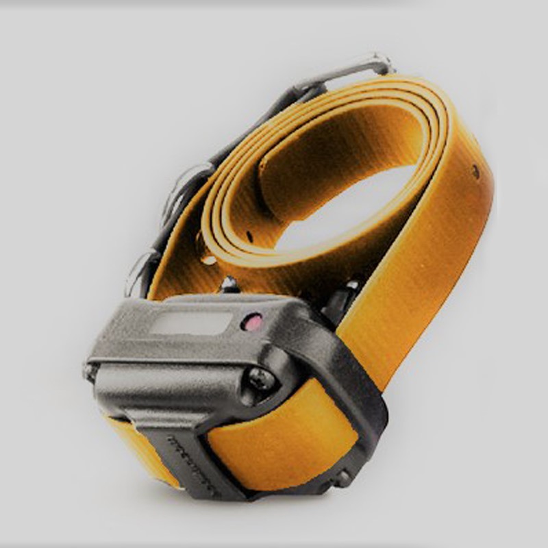RX-090 receiver with orange strap