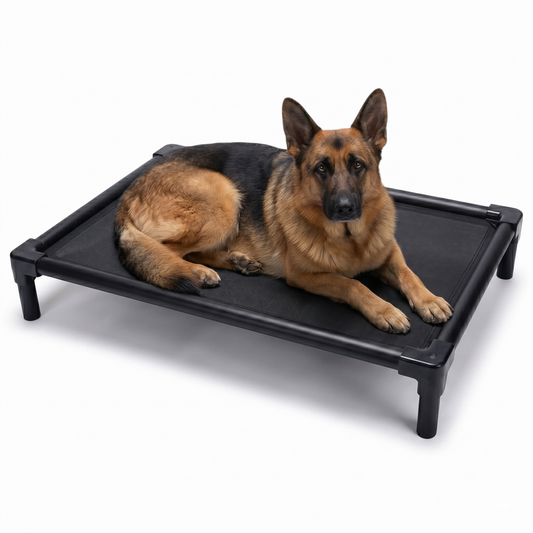 Black aluminum elevated dog bed 39 in (100 cm) with German Shepherd - chew-resistant orthopedic cot